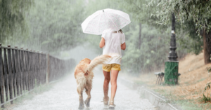 ¿Sacar al perro con lluvia?